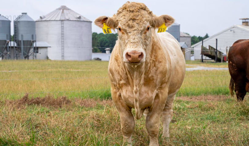 Capture d’écran 2026-02-23 à 17.58.09